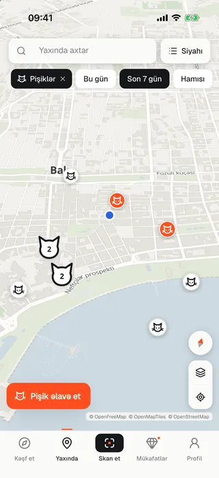 Карта городских котов
